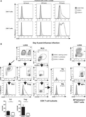 <mark class="highlighted">CD30</mark> Is Dispensable for T-Cell Responses to Influenza Virus and Lymphocytic Choriomeningitis Virus Clone 13 but Contributes to Age-Associated T-Cell Expansion in Mice